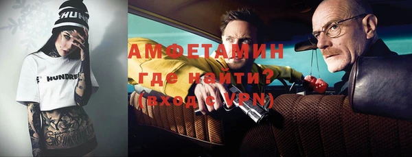 шишки Заволжье