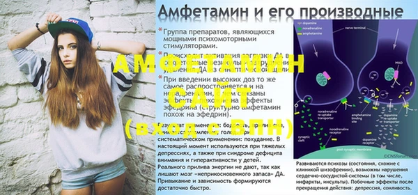 индика Заводоуковск