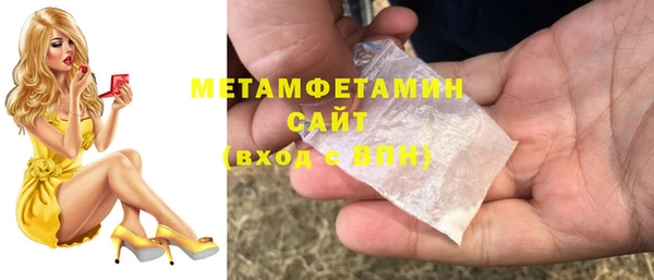 шишки Заволжье