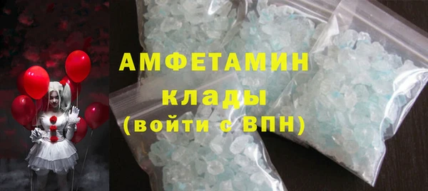 индика Заводоуковск