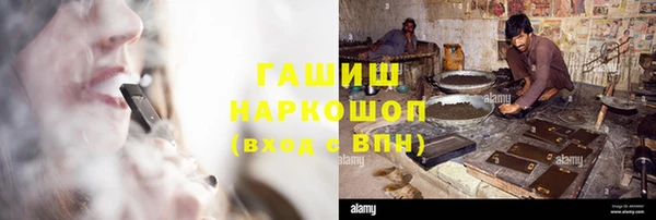 индика Заводоуковск