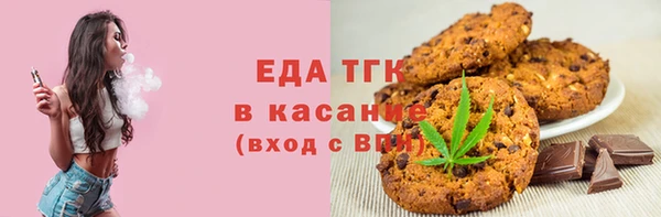 индика Заводоуковск