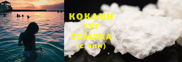индика Заводоуковск