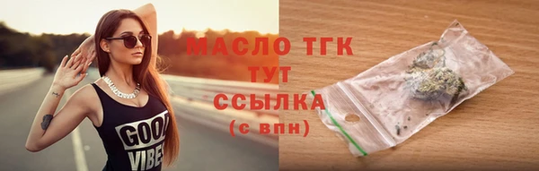 индика Заводоуковск