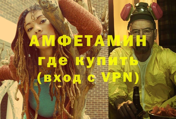 шишки Заволжье