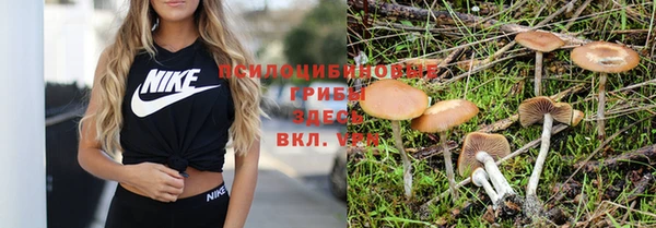 индика Заводоуковск