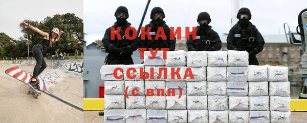 шишки Заволжье