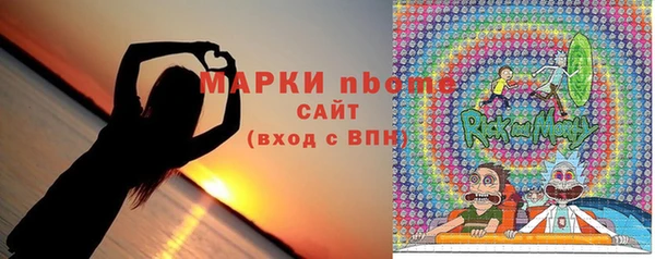 шишки Заволжье