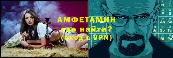 шишки Заволжье