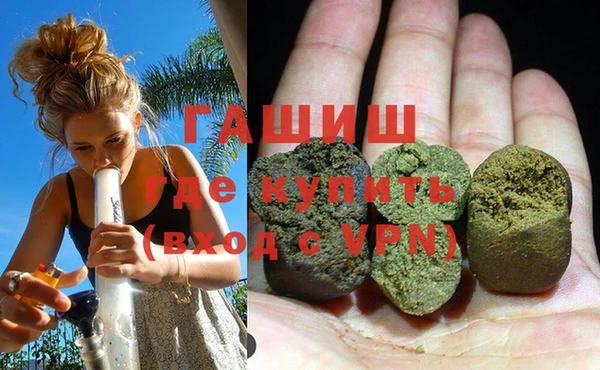 индика Заводоуковск
