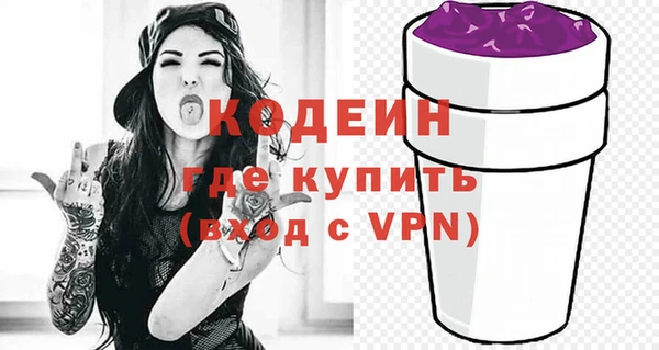индика Заводоуковск