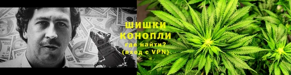 индика Заводоуковск