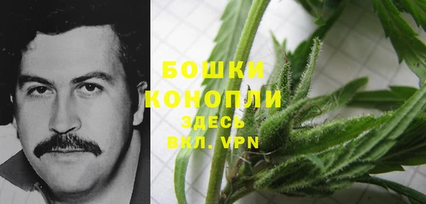шишки Заволжье
