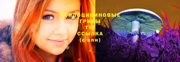 твердый Зеленодольск